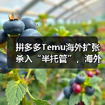 拼多多Temu海外扩张杀入“半托管”,海外仓卖家迎来新变量?(图1) 拼多多Temu海外扩张杀入“半托管”,海外仓卖家迎来新变量?(图1)