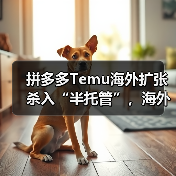 拼多多Temu海外扩张杀入“半托管”,海外仓卖家迎来新变量?(图3) 拼多多Temu海外扩张杀入“半托管”,海外仓卖家迎来新变量?(图3)