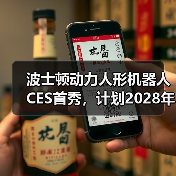 波士顿动力人形机器人CES首秀,计划2028年进厂(图3) 波士顿动力人形机器人CES首秀,计划2028年进厂(图3)