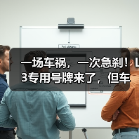 一场车祸，一次急刹！L3专用号牌来了，但车企再(图2)