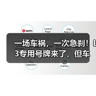 一场车祸，一次急刹！L3专用号牌来了，但车企再(图4)
