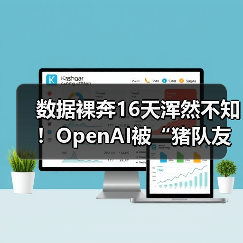 数据裸奔16天浑然不知！OpenAI被“