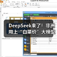 DeepSeek来了！非洲用上“白菜价”