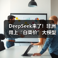 DeepSeek来了!非洲用上“白菜价”大模型(图4) DeepSeek来了!非洲用上“白菜价”大模型(图4)