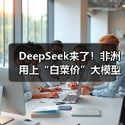DeepSeek来了!非洲用上“白菜价”大模型(图3) DeepSeek来了!非洲用上“白菜价”大模型(图3)