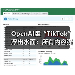 OpenAI版“TikTok”浮出水面：