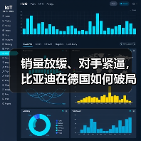 销量放缓、对手紧逼，比亚迪在德国如何破局(图3)