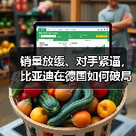 销量放缓、对手紧逼，比亚迪在德国如何破局(图2)