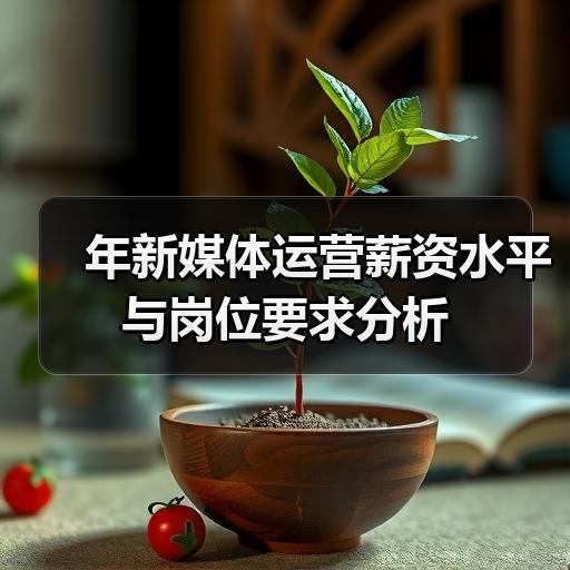年新媒体运营薪资水平与岗位要求分析