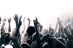 流量造假危在旦夕，粉丝经济“永垂不朽” - ��ý���鱨��վ