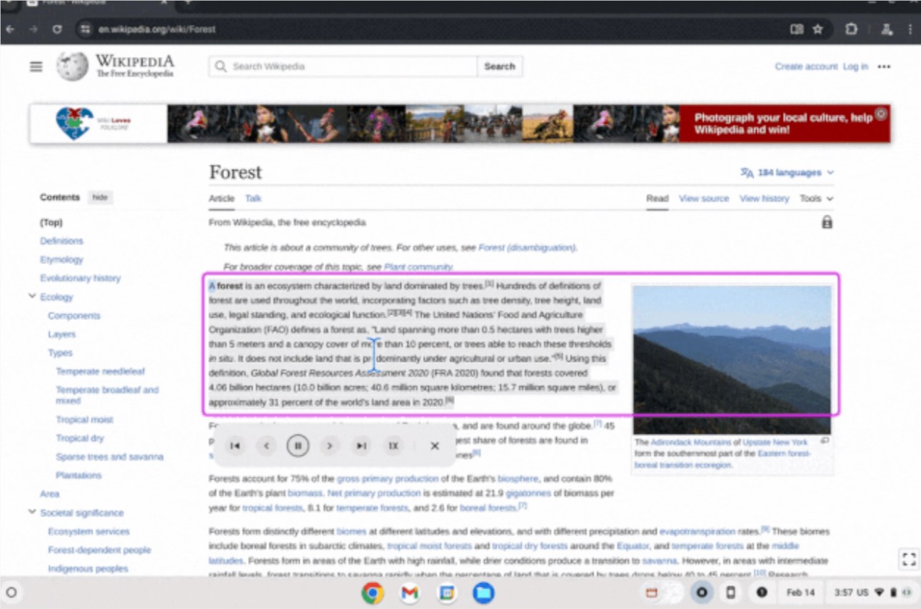 教育AI服务升级数据保护，无障碍功能优化学习体验 - 众森 IT 新媒体资讯网